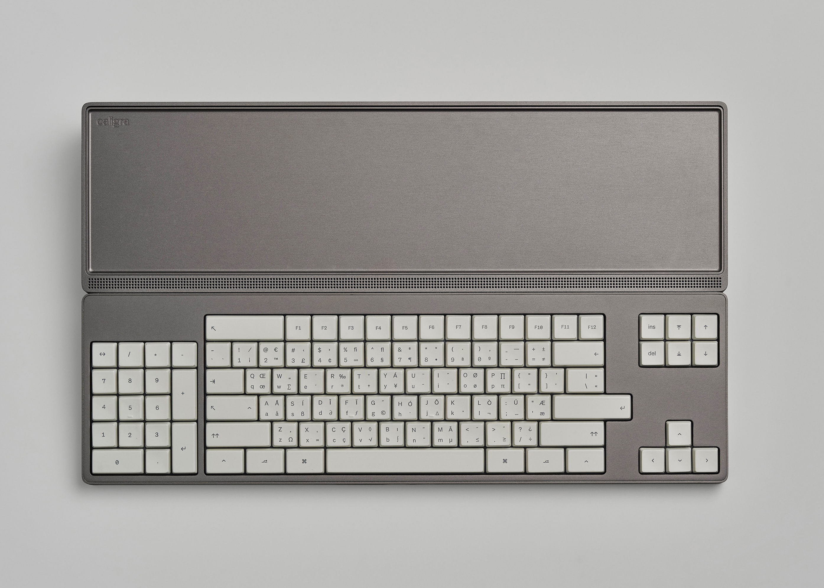 c100 Developer Terminal by Caligra