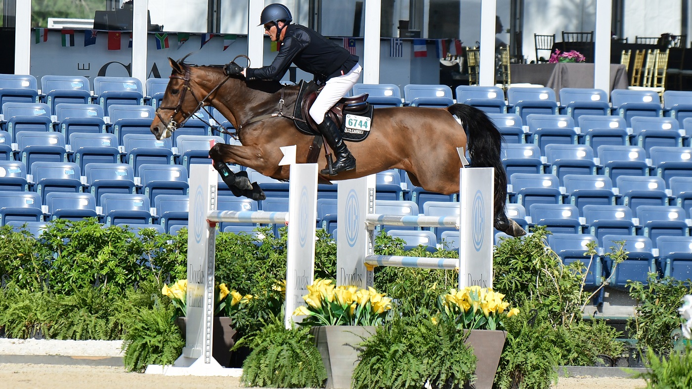 Paul O'Shea competing today at the Winter Equestrian Festival on Hellcat