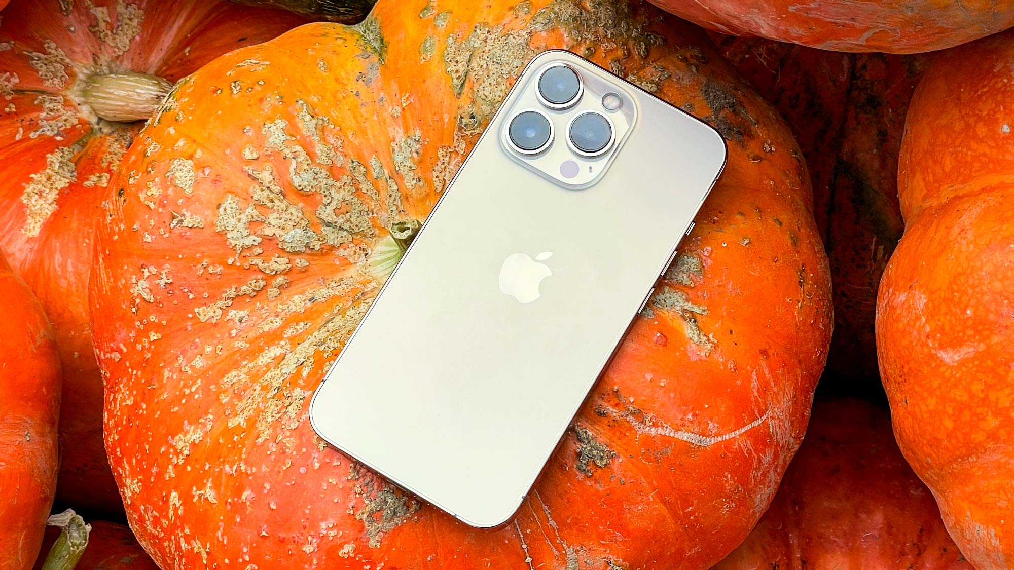 iphone 13 pro laying face down on pumpkin