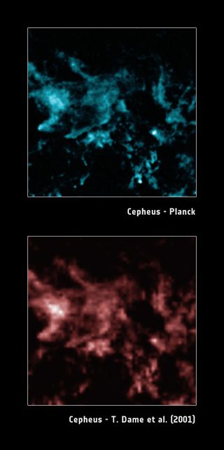 Cepheus Molecular Cloud Complex