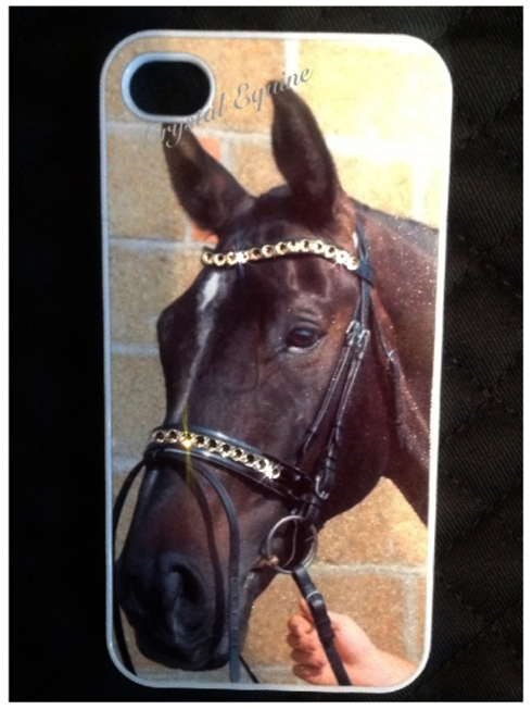 phone case[1]
