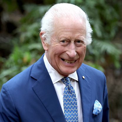 King Charles smiling outside in front of a tree wearing a blue suit and tie 