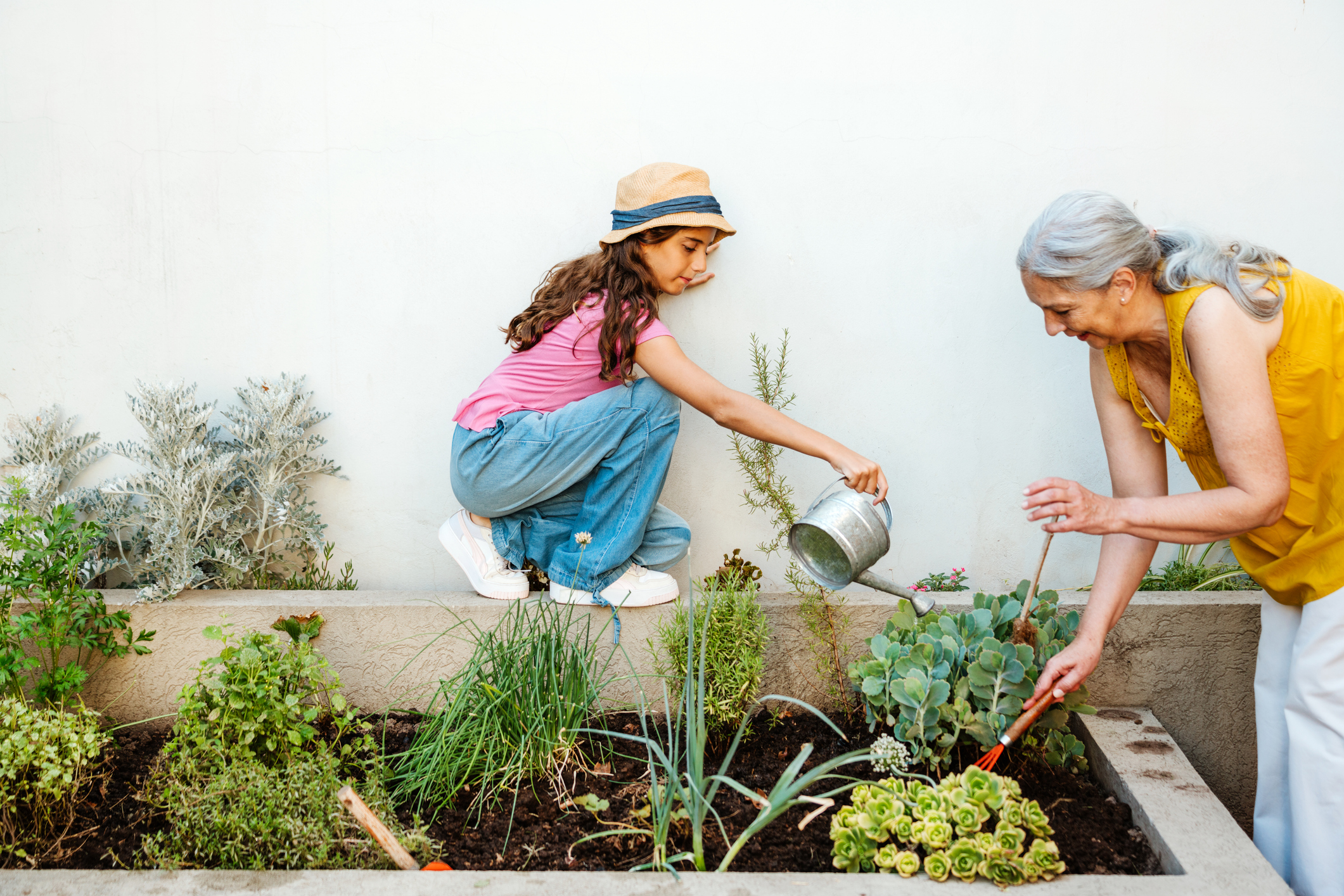 Senior woman and young girl planting and watering in a home garden.