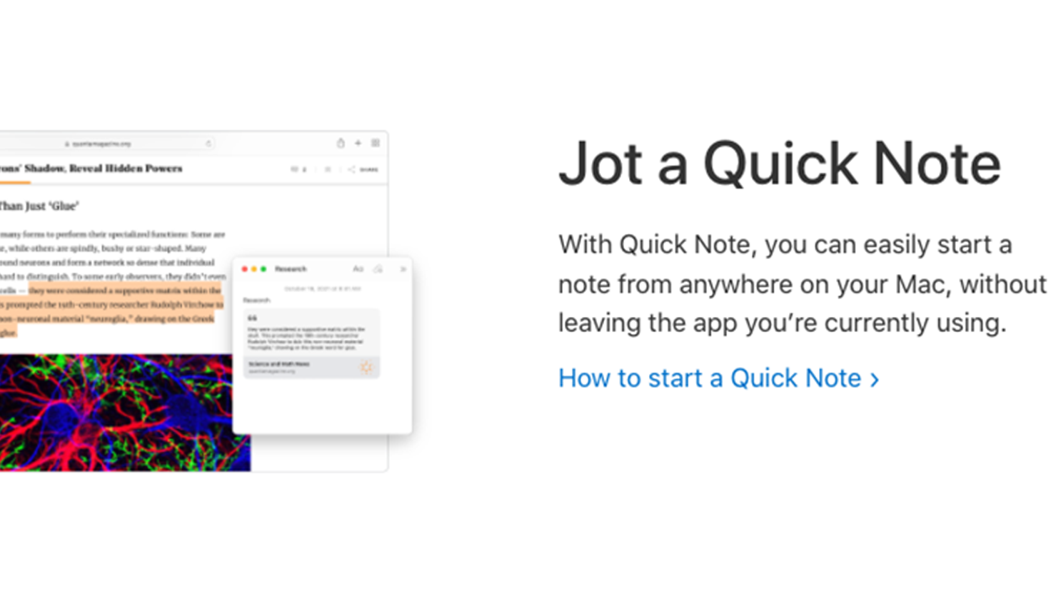 The best note taking apps for Mac | Laptop Mag