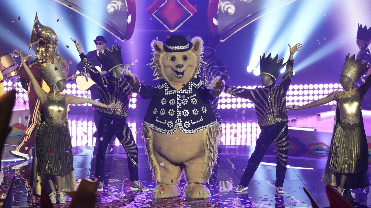 Hedgehog on The Masked Singer