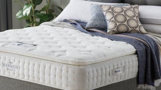 Silentnight mattress