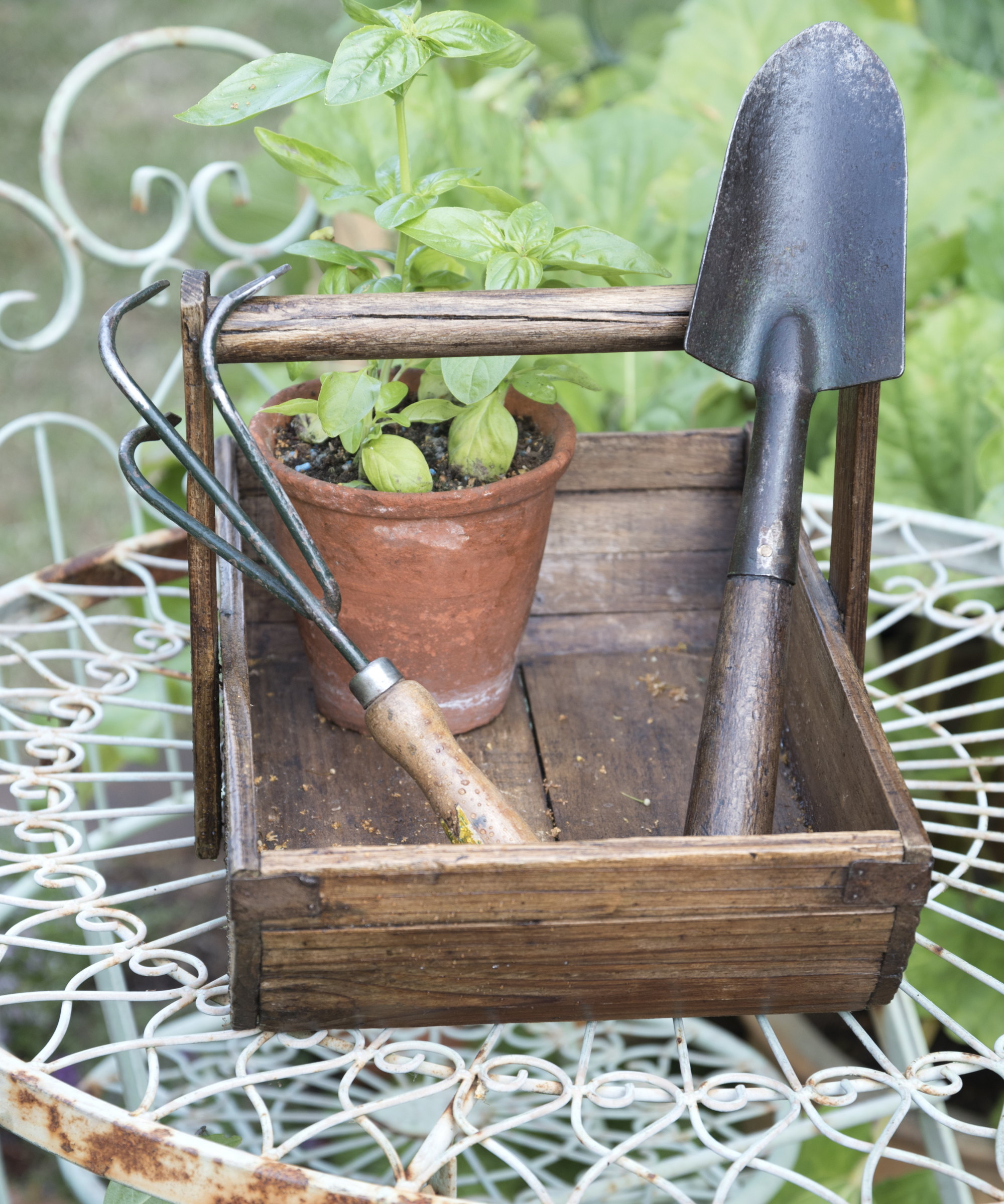 A trowel and cultivator in a wooden basket on a metal table