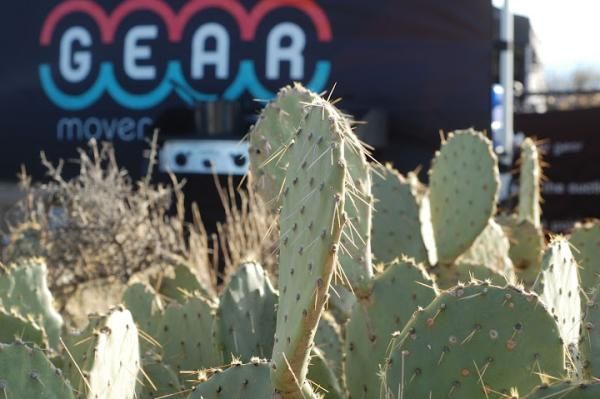 Watch out for the cacti!