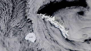 Iceberg on the move as seen from space. 
