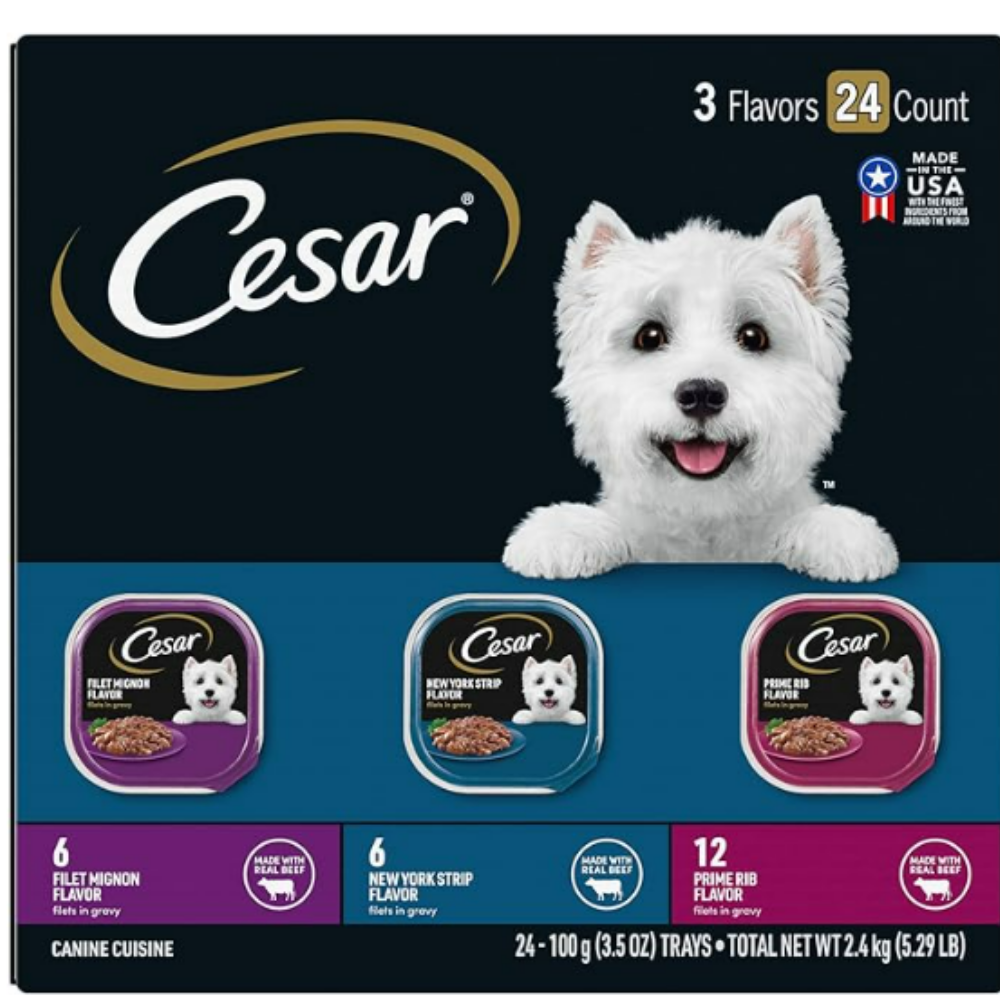 CESAR Filets in Gravy Adult Wet Dog Food