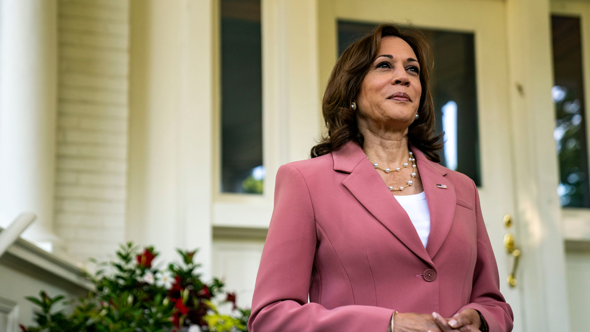 Kamala Harris's kitchen cabinets revive a functional trend designers want us to take into 2024