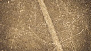 Aerial photo of Nazca lines in Peru. This geoglyph looks like a line drawing of a whale.