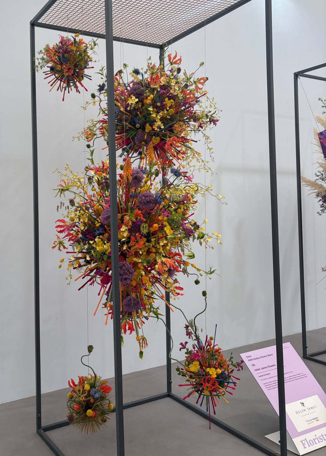 A floral installation at the Chelsea Flower Show 2026
