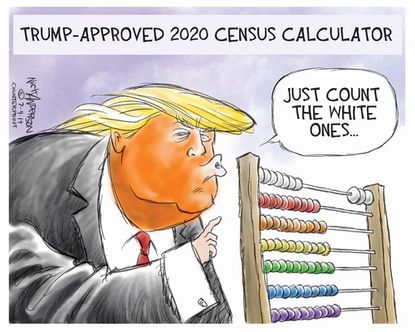 Political Cartoon U.S. 2020 Census Counting White Abacus