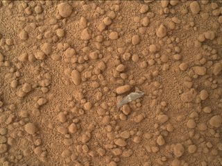 This image from the Mars Hand Lens Imager (MAHLI) camera on NASA's Mars rover Curiosity shows a small bright object on the ground beside the rover at the "Rocknest" site. The object is just below the center of this image. It is about half an inch (1.3 centimeters) long. The rover team has assessed this object as debris from the spacecraft, possibly from the events of landing on Mars. The image was taken during the mission's 65th Martian day, or sol (Oct. 11, 2012).