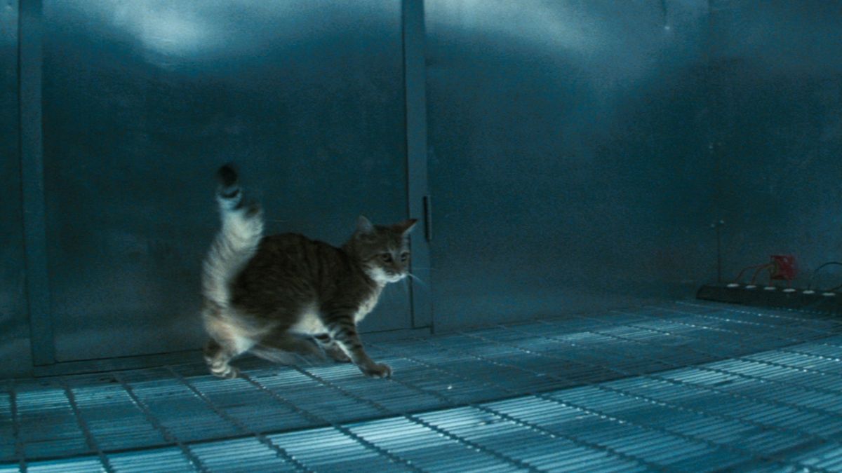 Adapting Stephen King's Quitters Inc. And The Ledge Checking The