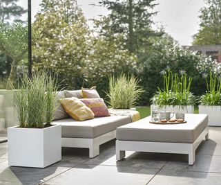 Contemporary white square planters around a light outdoor patio seating area with ornamental grasses and agapanthus