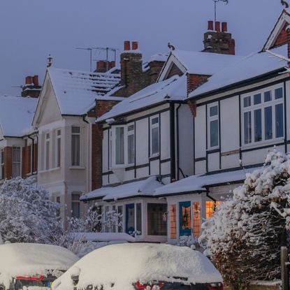 Street of houses, cars and trees covered in snow
