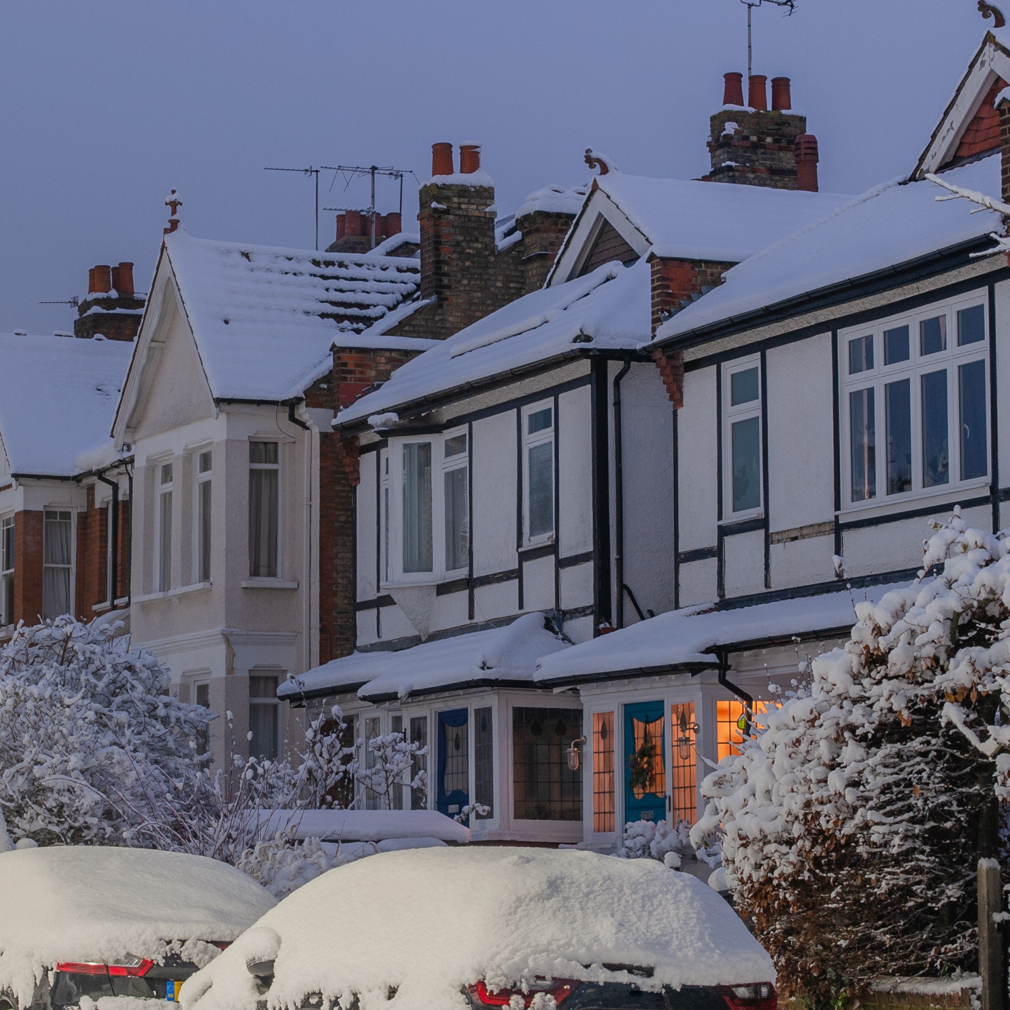 Street of houses, cars and trees covered in snow