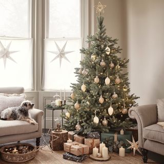 A large Christmas tree in the corner of a living room, neutrally decorated with a star topper on top