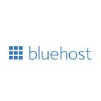 2. Bluehost hemsideprogram för WordPress