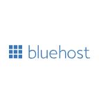 Bluehost vs HostGator: The right web hosting service for your website 1
