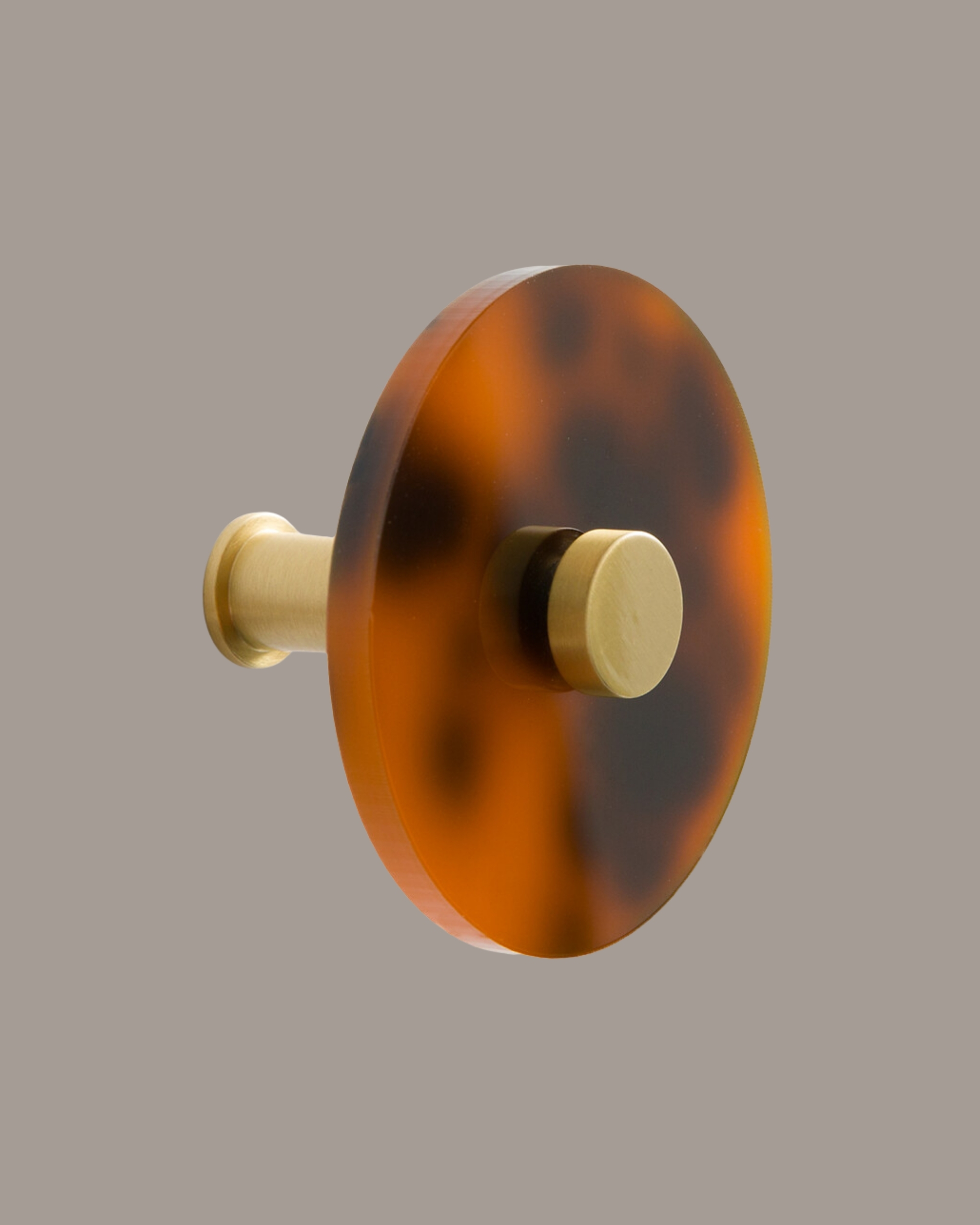 Set of 3 Paula Coat Hooks in Tinted Acetate