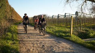 Three cyclists riding through an orchard at golden hour