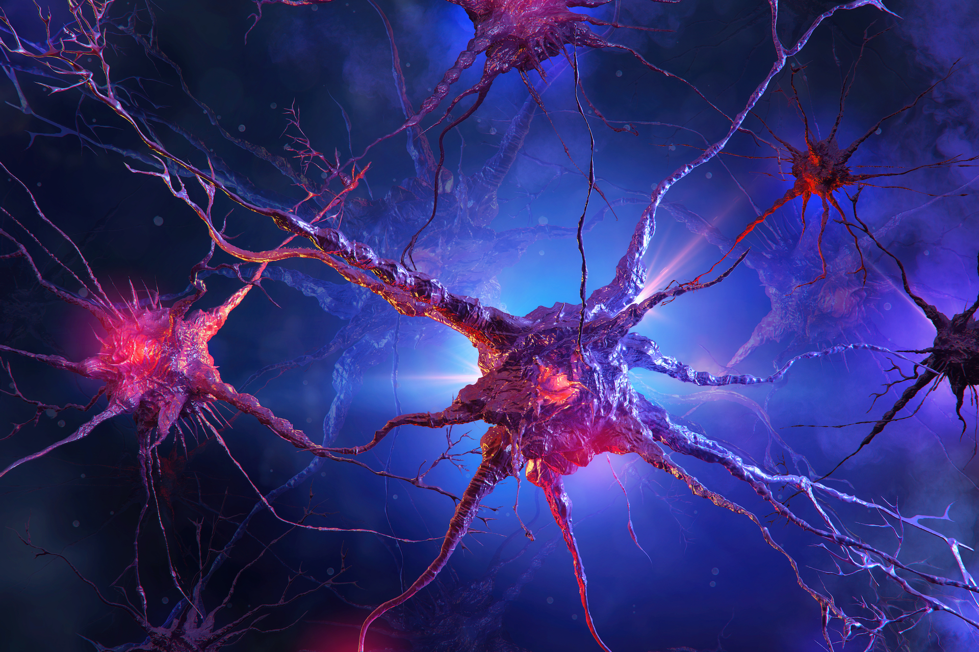 Ilustration of nerve cells.
