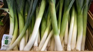 Leeks for sale