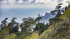 Landscape on Saint Helena Island
