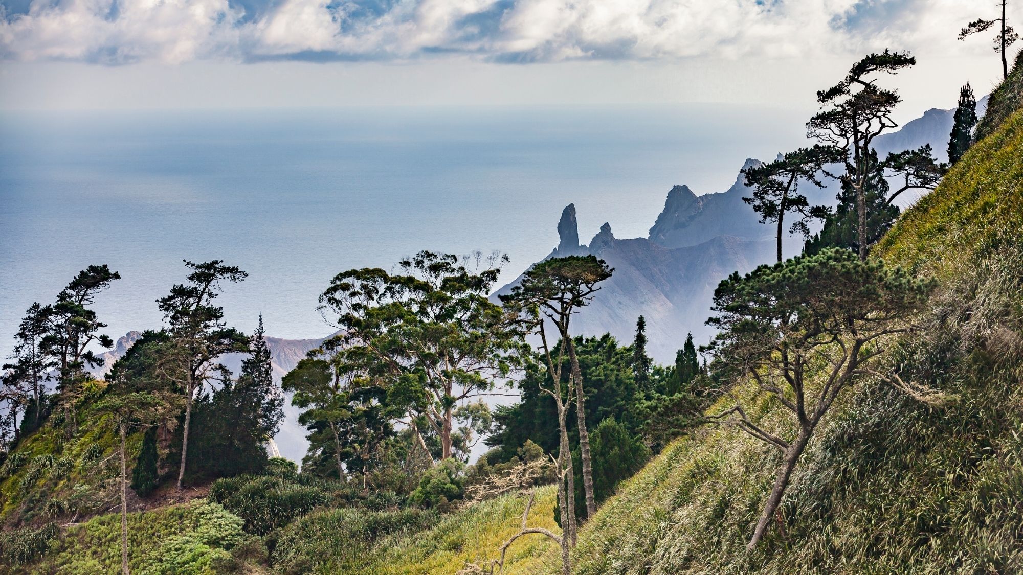 Landscape on Saint Helena Island