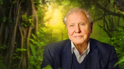 David Attenborough among a jungle