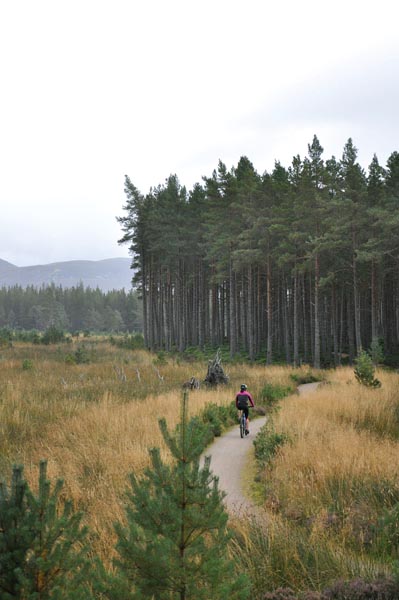 Speyside ride