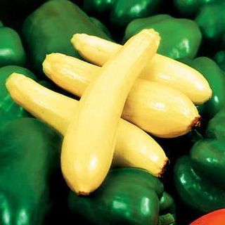 four yellow squash on top of green peppers