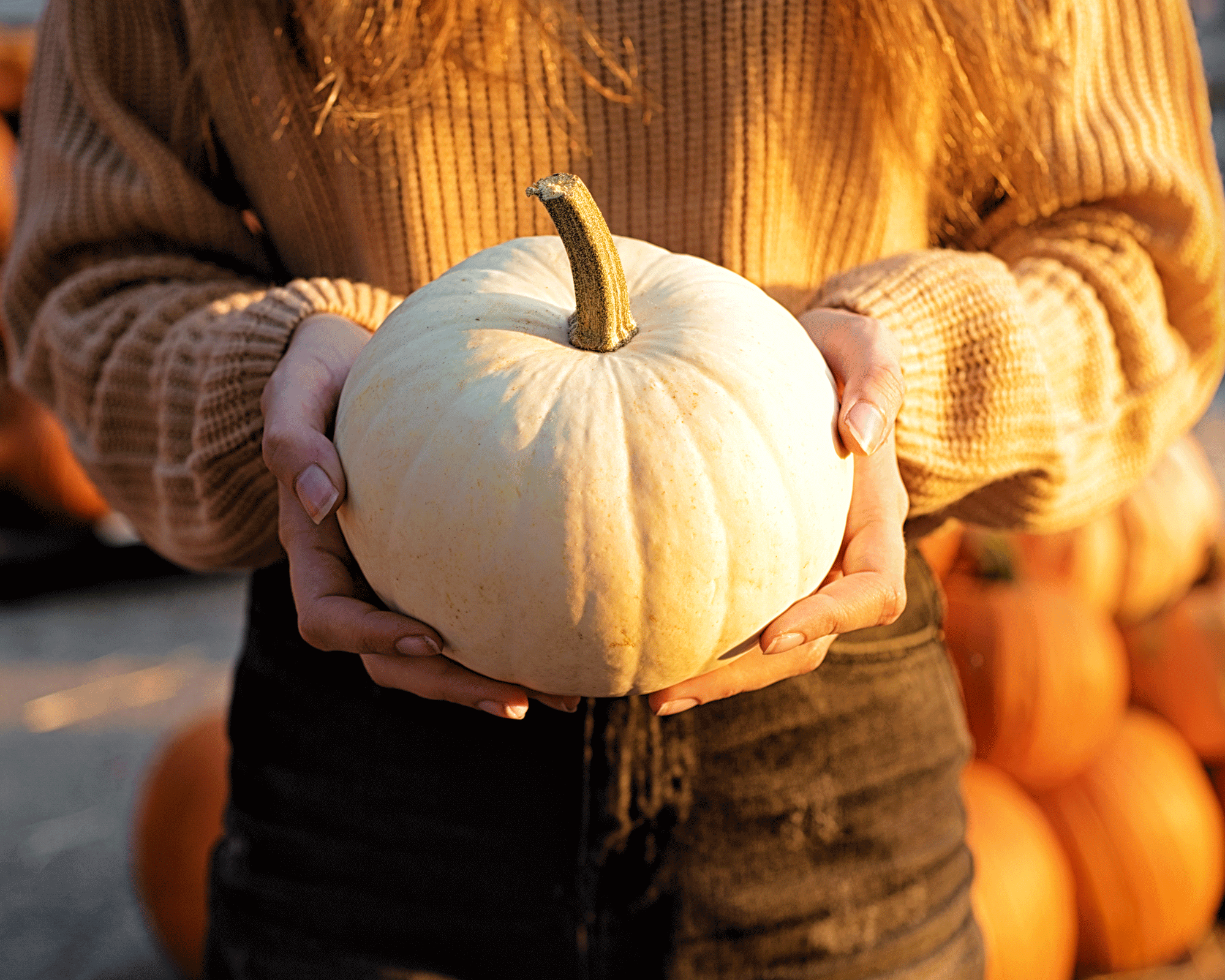 Stop your pumpkin from rotting with this simple hack | Real Homes