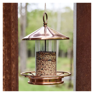 A hanging bird feeder