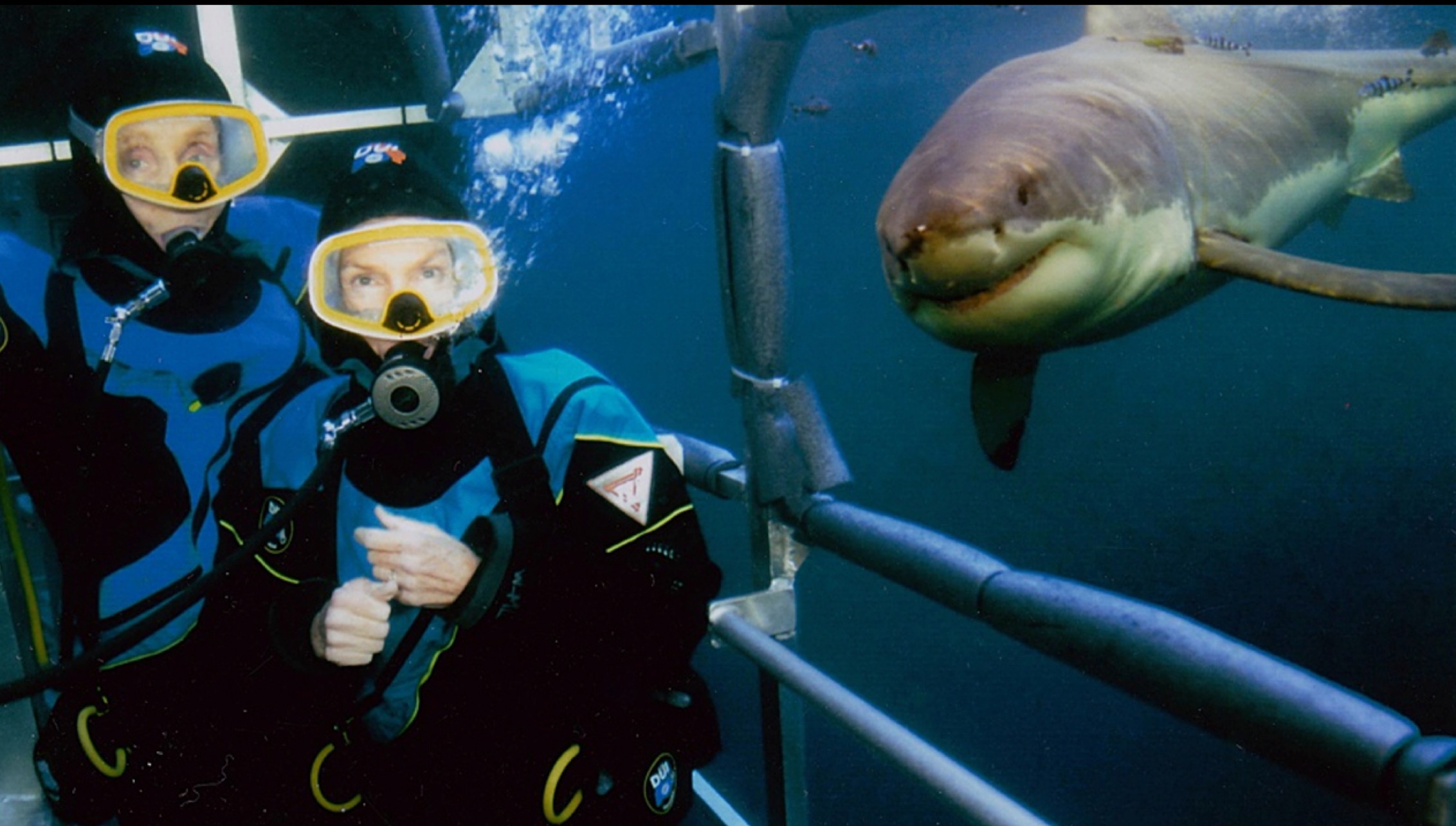 Wendy and Peter Benchley with a great white shark for real.