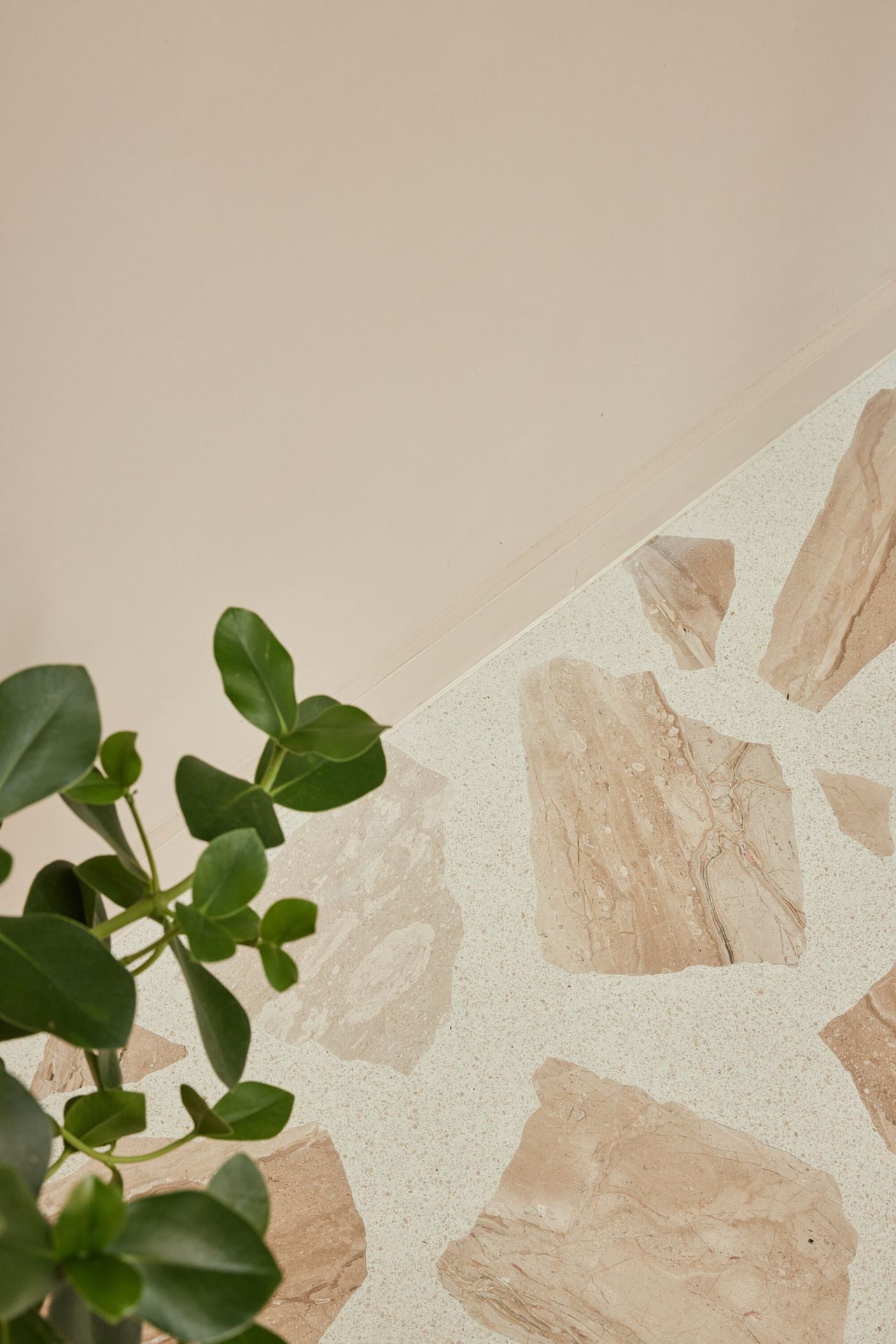 Close-up image of blush pink and white Palladiana terrazzo flooring. There is a green plant peeking into the image.