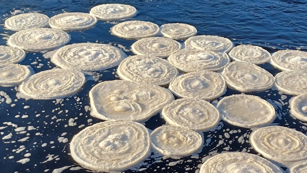 Stunning 'ice pancakes' swirl on the surface of Scottish river Live