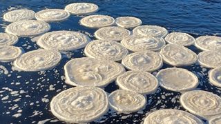 Unusual discs of frozen slush, known as "ice pancakes," were recently spotted on the River Bladnoch in Scotland. The rare structures were created by unusually cold temperatures in the U.K.