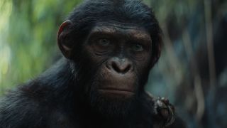Still from the movie ' Kingdom of the Planet of the Apes' (2024). Close up of a chimpanzee's face. He looks concerned.