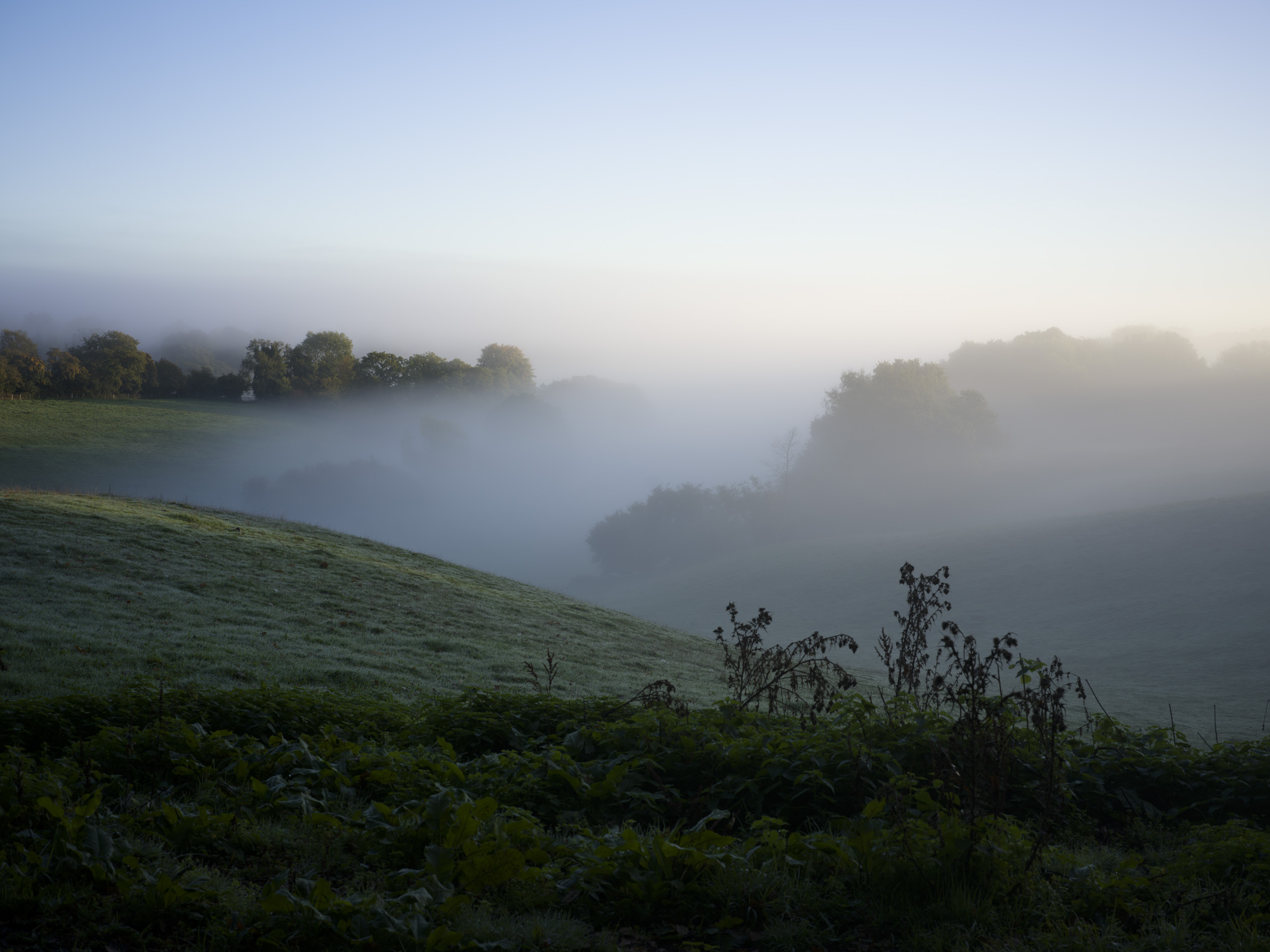 Sample image taken with the Hasselblad X2D 100C of a landscape shrouded in mist