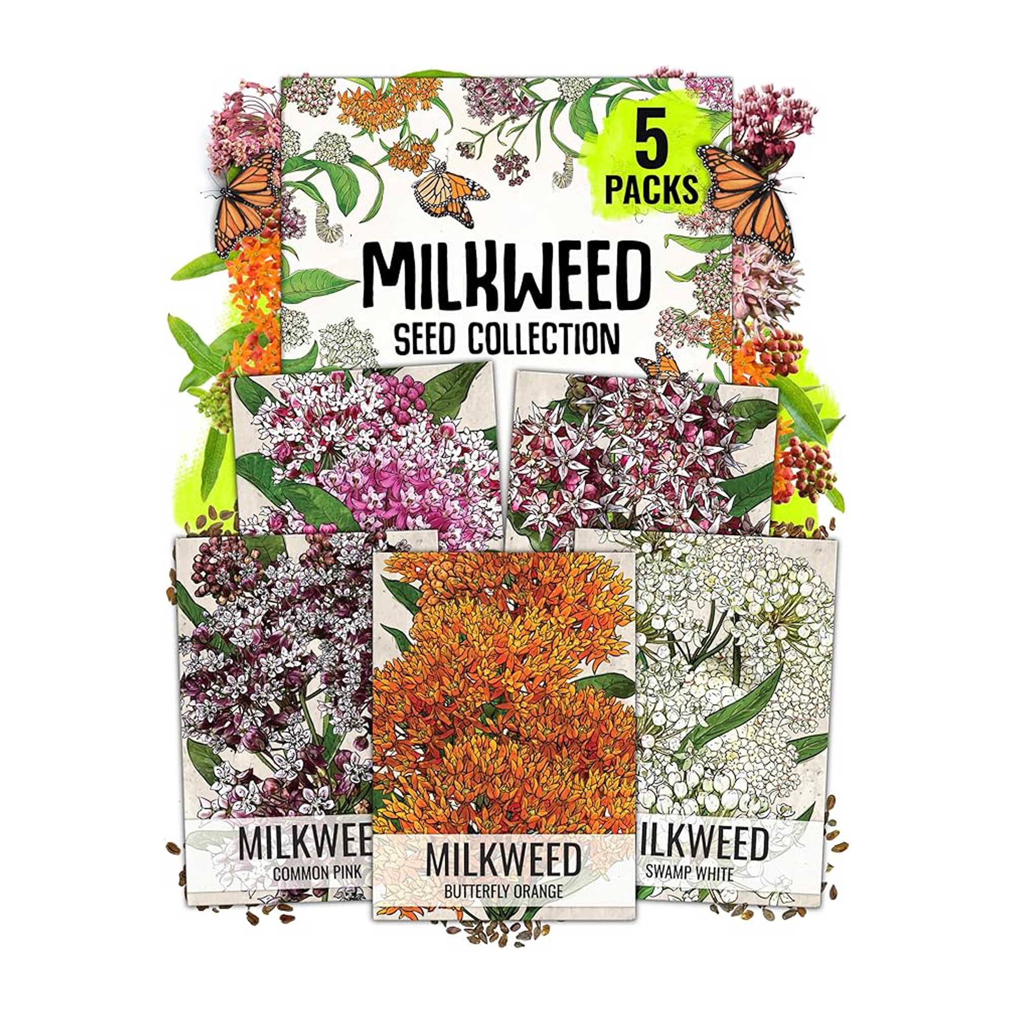 Seed Needs milkweed collection
