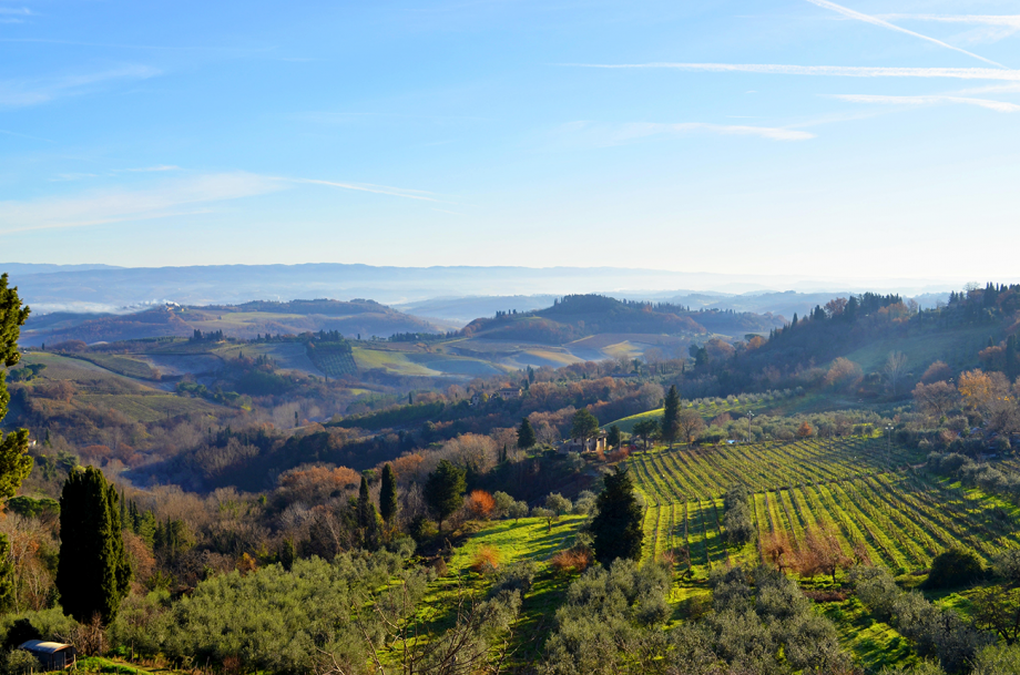 Best Tuscan Wines