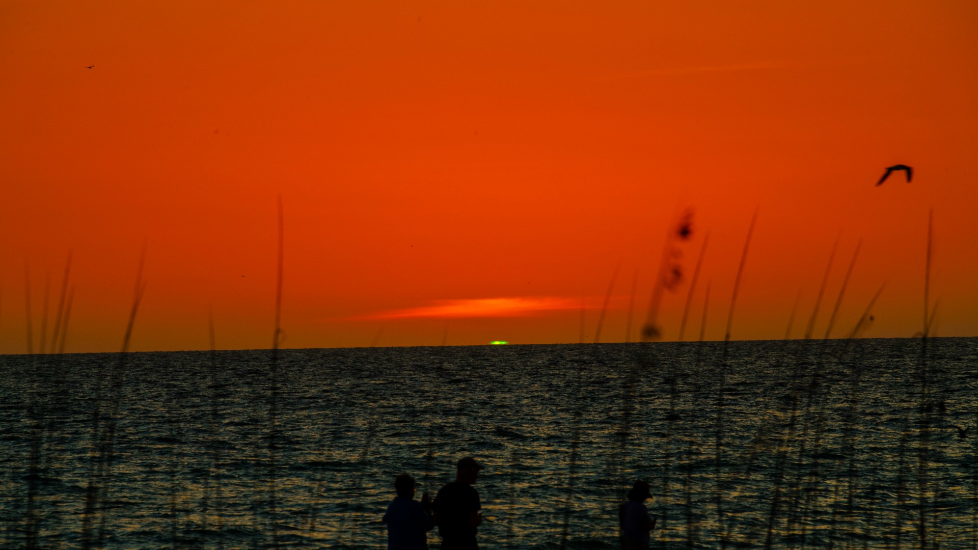 What causes the strange green flash at sunset and sunrise on Earth
