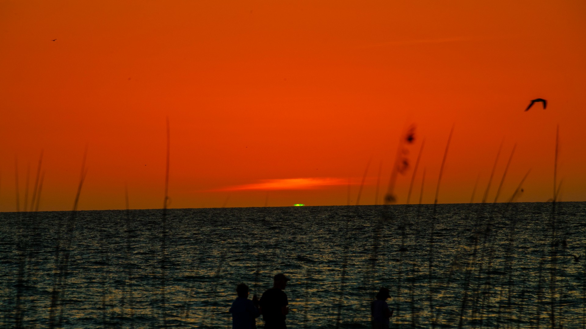 NASA Scientist Finds World With Triple Sunsets