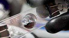 The sample sent to the UK's Natural History Museum is just a small slice of the regolith collected from Bennu.