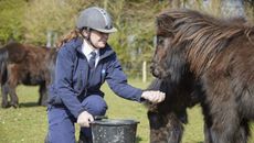 RSPCA-coronavirus-appeal.jpg
