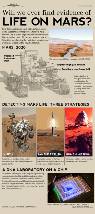 The search for life on Mars may be one of the biggest hunts in space exploration. See how the hunt for ancient evidence of Martian life may work in this infographic.